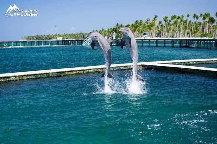 Punta Cana Sol Caribe Beach Pool Ngoại thất bức ảnh